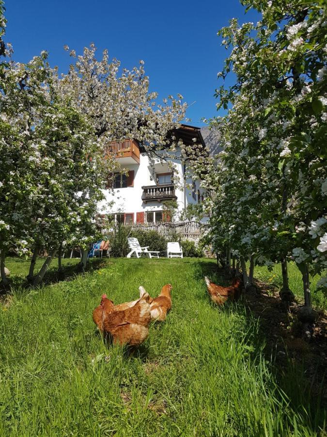 Ferienwohnung Lafreid Algund Exterior foto